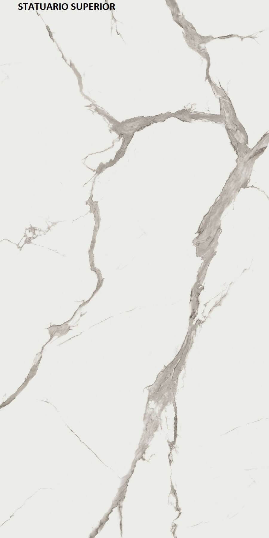 Materia Statuario Superior Porcelain Product, Matt, Glossy, 12 mm | Özata Group