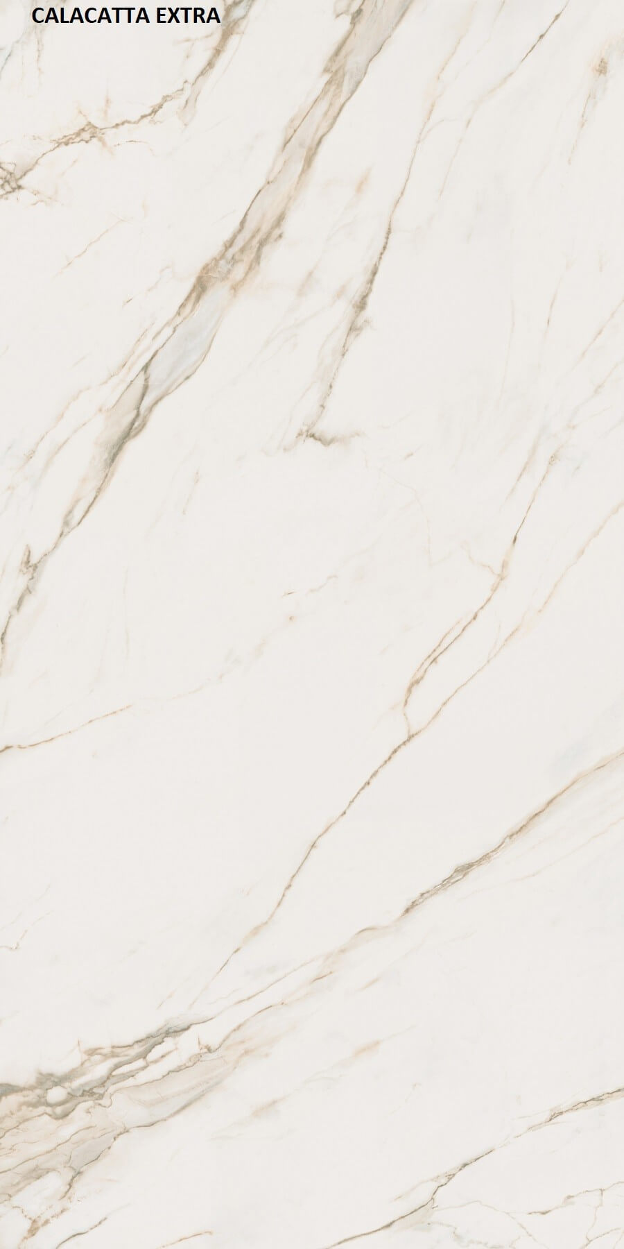Materia Calacatta Extra Porcelain Product, Matt, Glossy, 12 mm | Özata Group