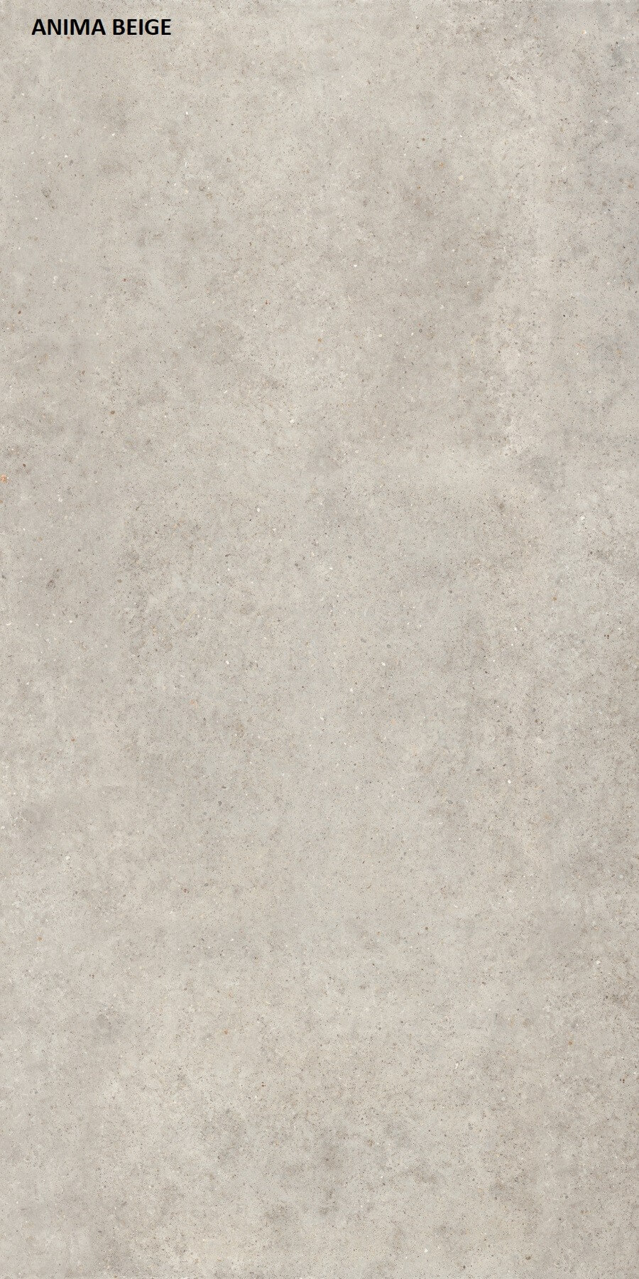 Materia Anima Beige Porselen Ürün, Mat, Parlak, 12 mm | Özata Grup