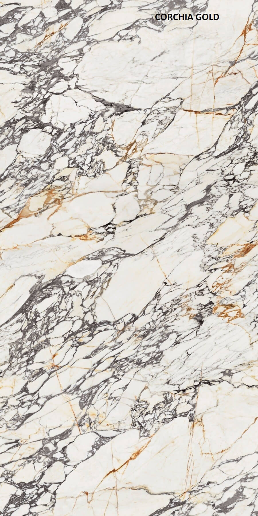 Materia Corchia Gold Porselen Ürün, Mat, Parlak, 12 mm | Özata Grup