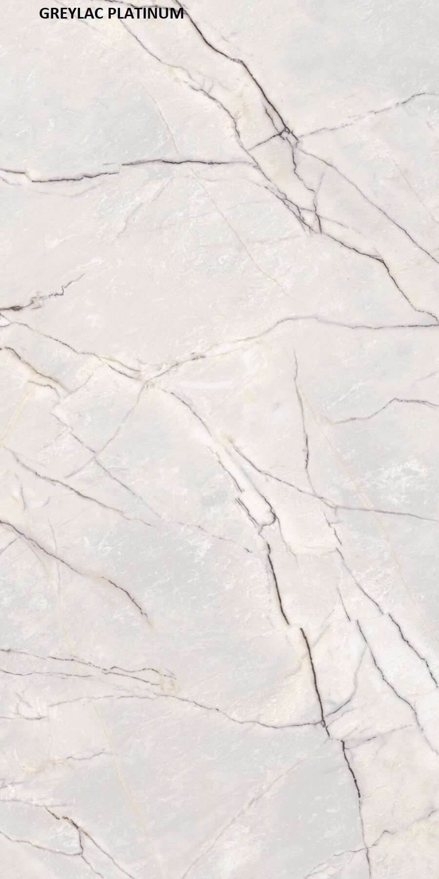 Materia Greylac Platinum Porcelain Product, Matte, Glossy, 12 mm | Özata Group