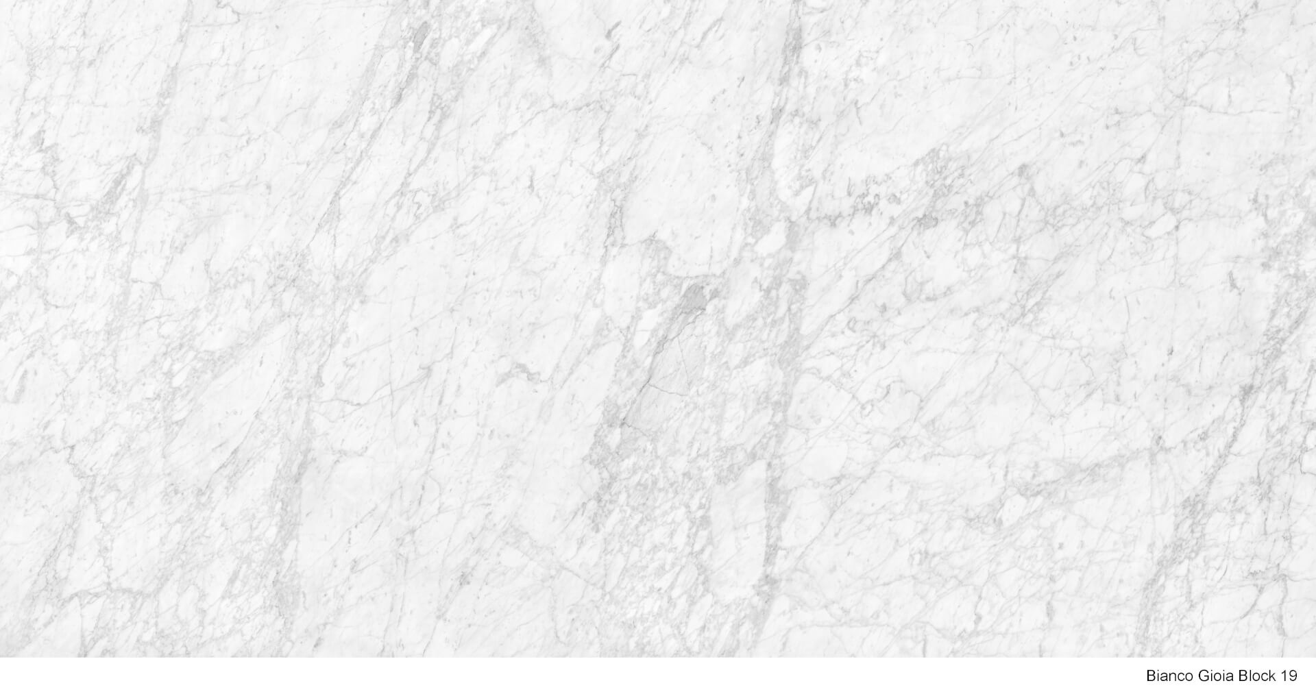 Bianco Gioia | Timeless Porcelain Surface by Anatolia Surface | Özata Grup
