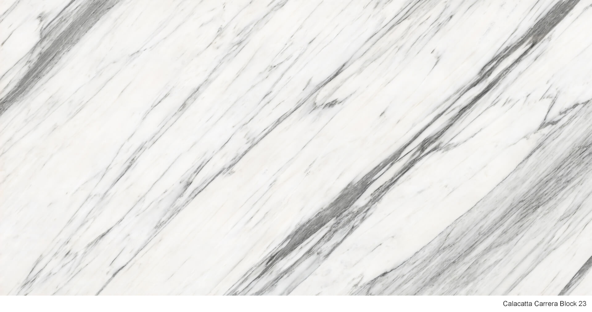 Calacatta Carrera | Luxurious Porcelain Surface by Anatolia Surface | Özata Grup