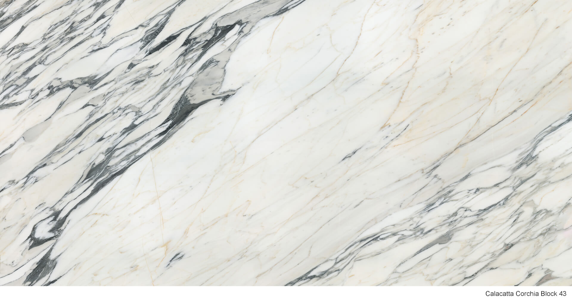 Calacatta Corchia | Elegant Porcelain Surface by Anatolia Surface