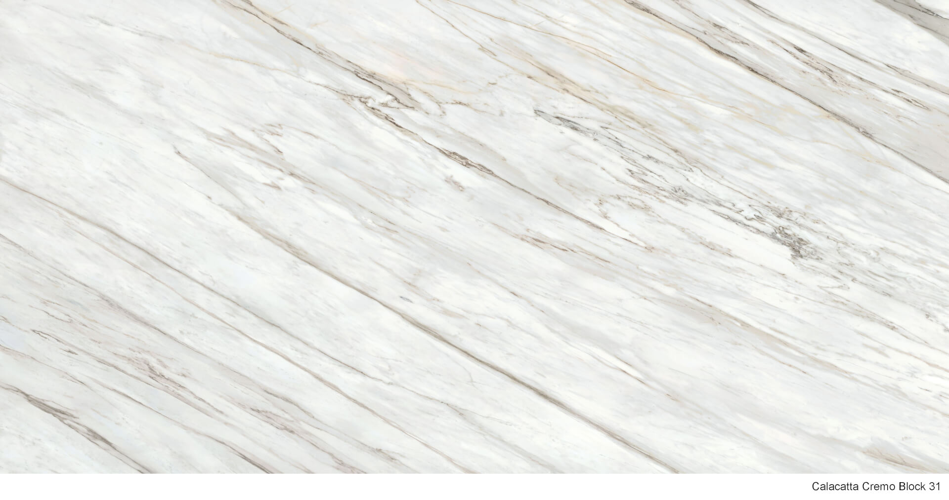 Calacatta Cremo | Lüks Porselen Yüzey by Anatolia Surface