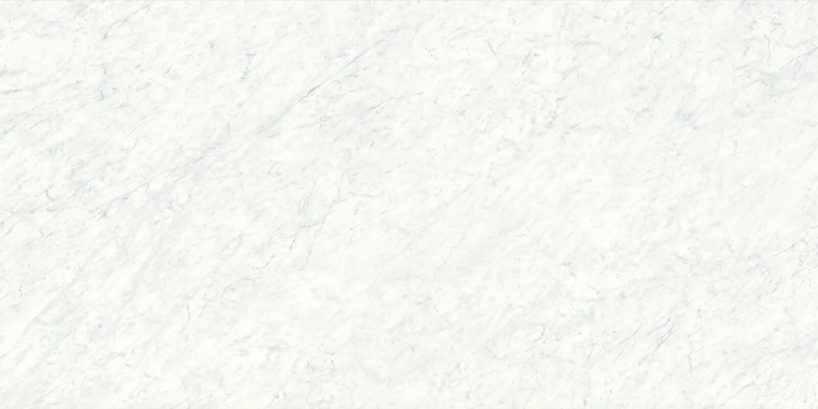  carrera white