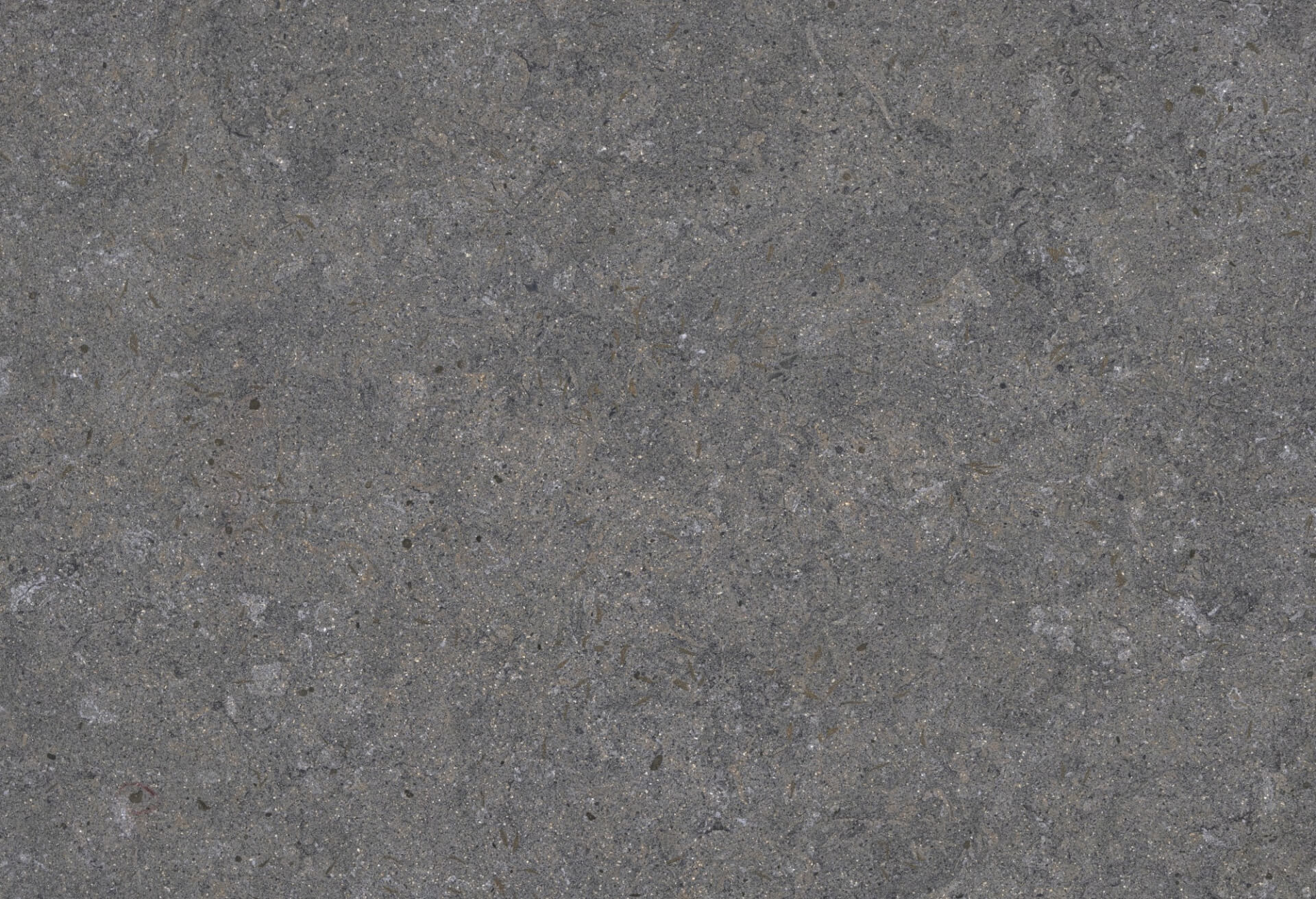 Grigio