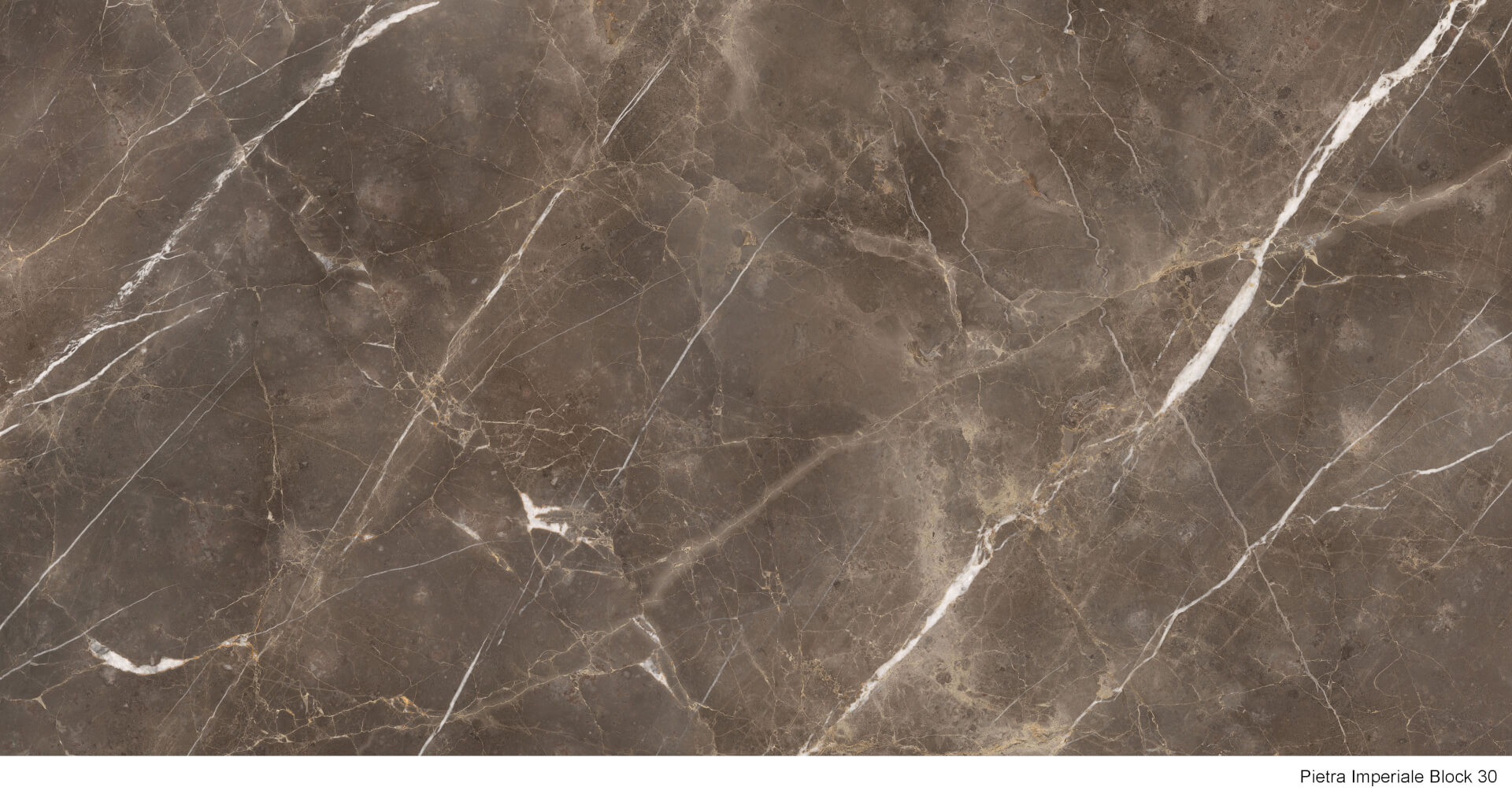 Pietra Imperiale | Lüks Porselen Yüzey by Anatolia Surface